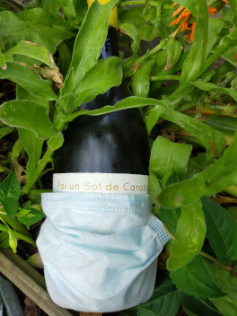 Medidas de Bodegas El Paraguas ante el COVID-19